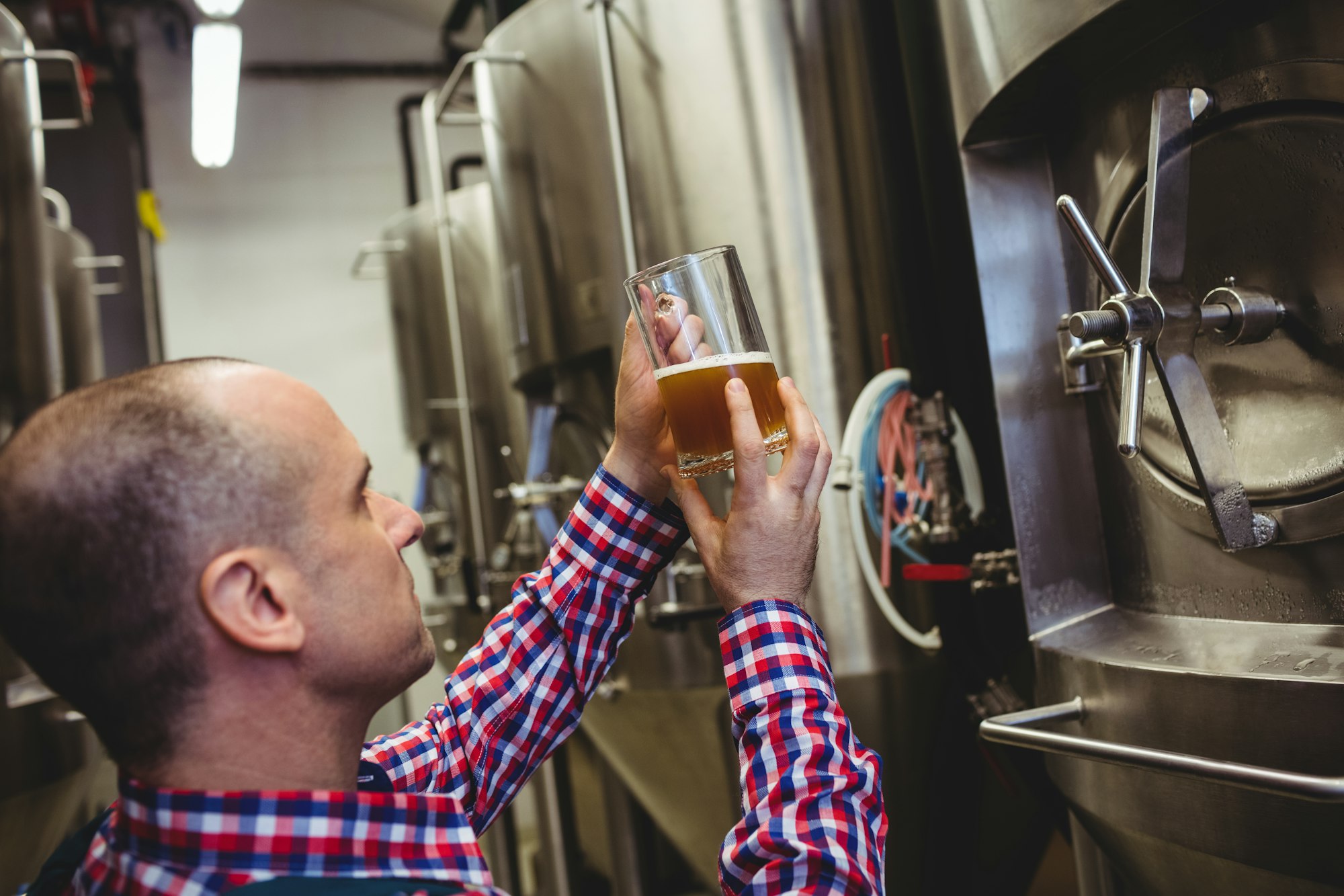Brewery worker inspecting beer in glass